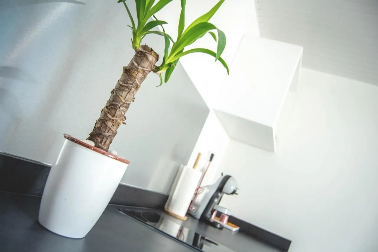 Belya Apartment Le Vauclin